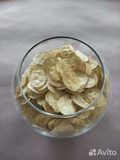 Лепестки Лунарии для творчества