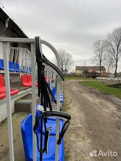 Уздечка для лошади