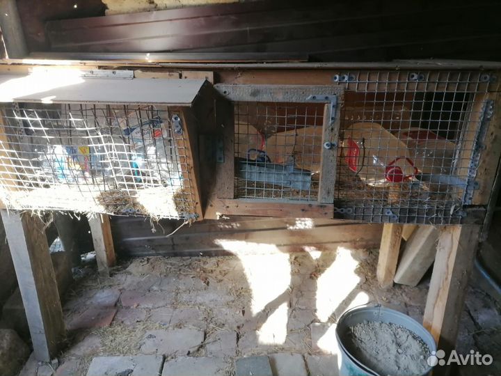 Клетки для кроликов