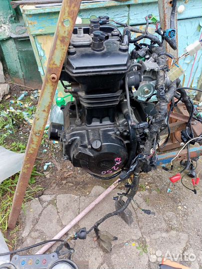 Двигатель kawasaki ninja 300