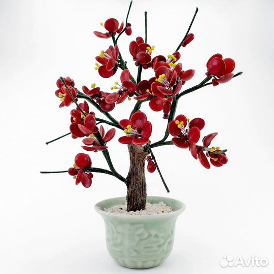 Дерево счастья (денежное дерево) 