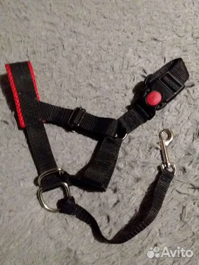 Недоуздок для собак(халти)