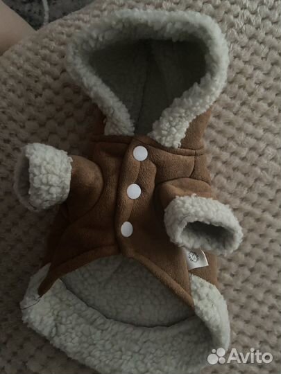 Вещи для маленьких собак