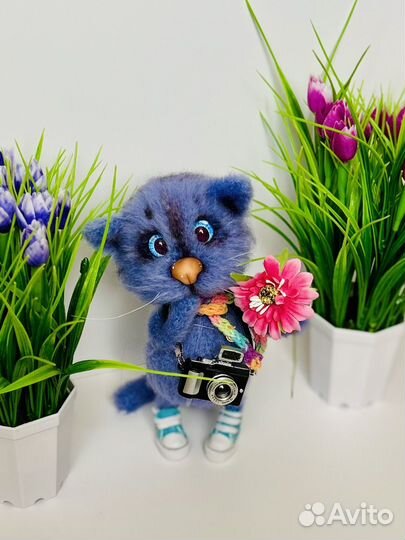 Малыш в кедах 