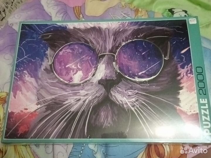 Пазлы 2000 кот