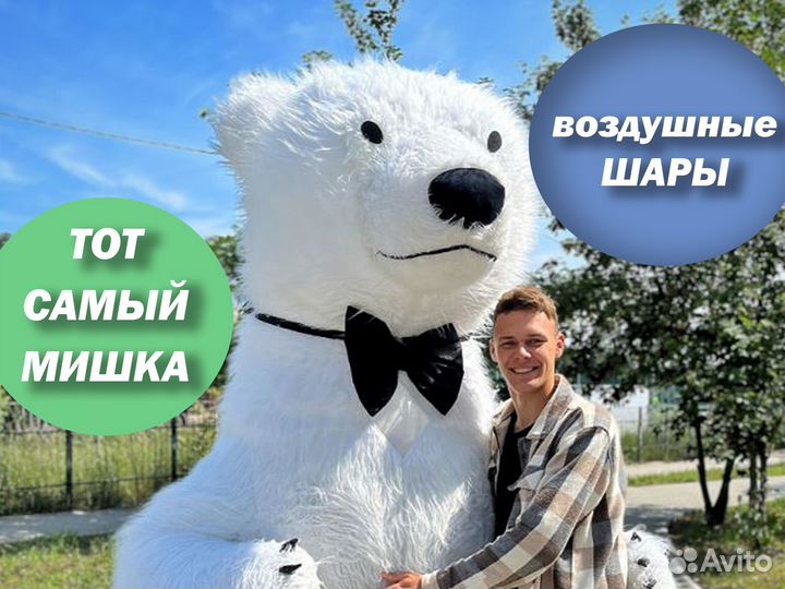 Поздравление от мишки, медведь Тедди, шары