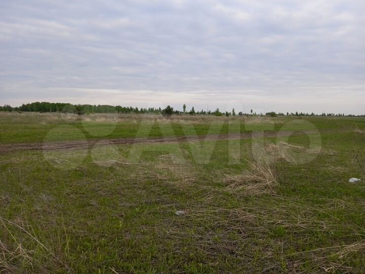 Участок 5,1 га (СНТ, ДНП)