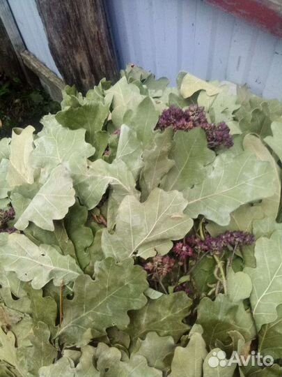 Веники для бани