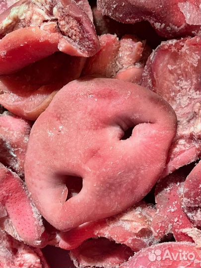 Мясо и субпродукты для собак