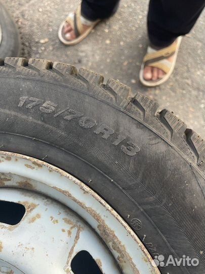 GT Radial Champiro BXT Pro 175/70 R13