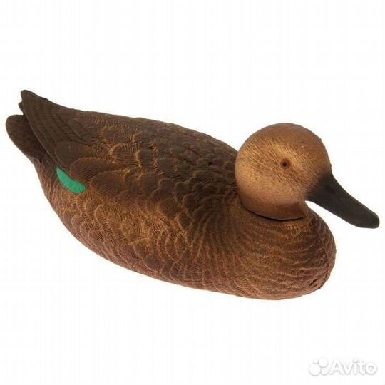 Чучело Чирок-трескунок утка