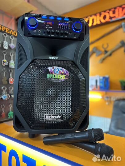 Акустическая система комбик meirende MR-106