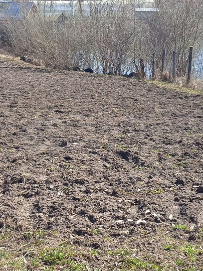 Дача 10 м² на участке 7,7 сот.