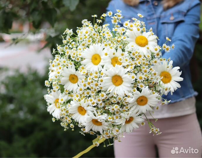 Букеты из кустовых роз, гортензий и ромашек