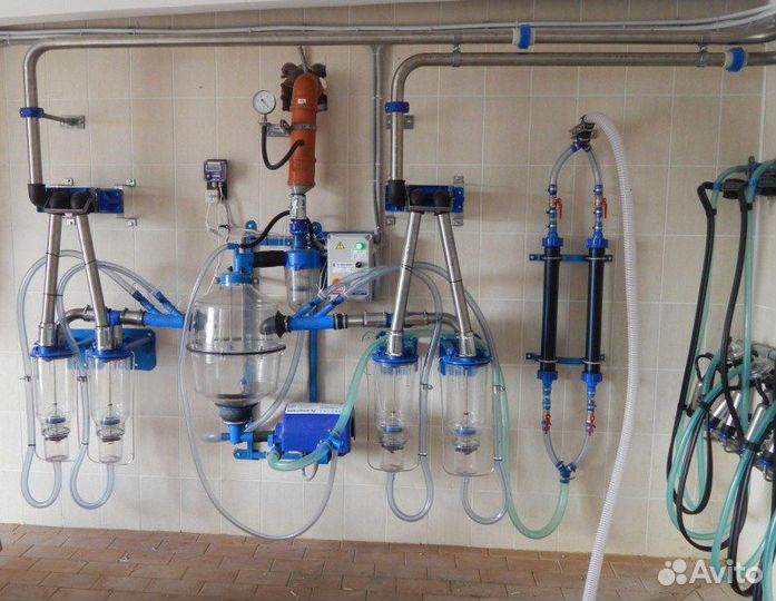 Молокопровод для крс на 50 голов