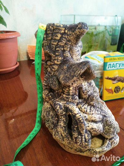 Для Аквариума