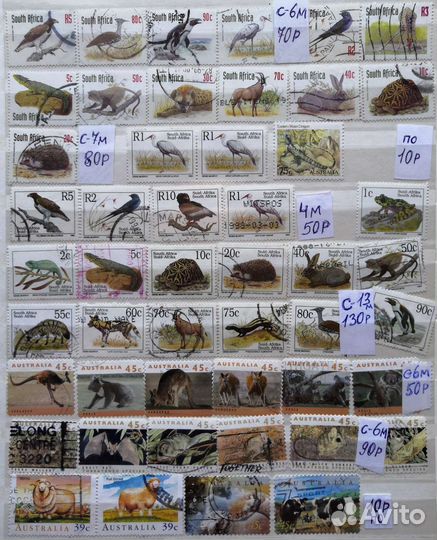 Подборка 22 птицы фауна Сборник