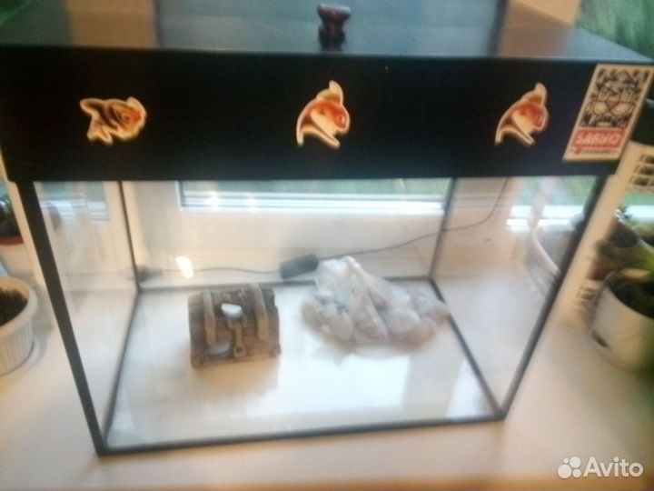 Аквариум, аквариумные растения