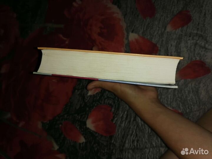 Анатомия человека