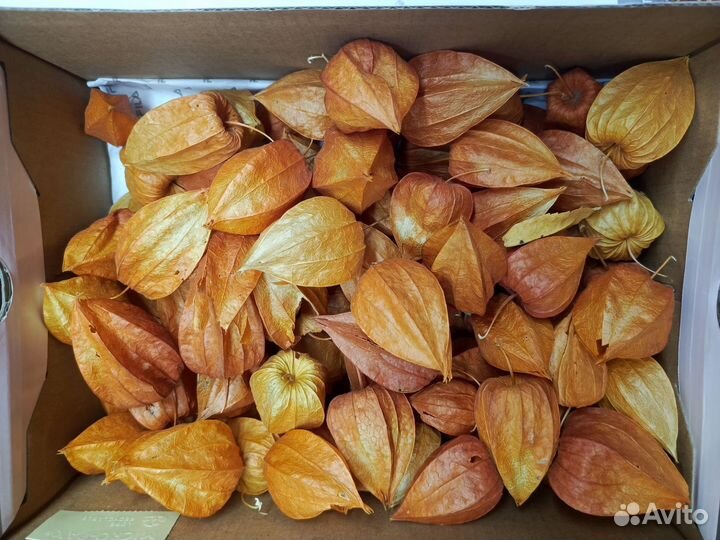 Природные материалы для творчества