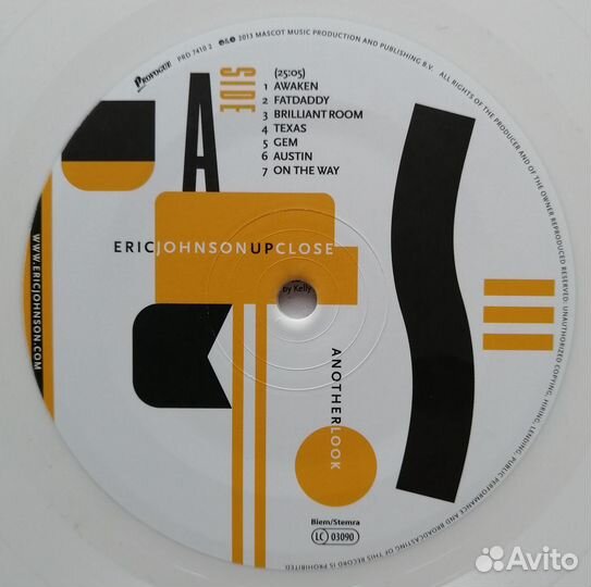 Eric Johnson Roy Patterson Joe Diorio Robben Ford