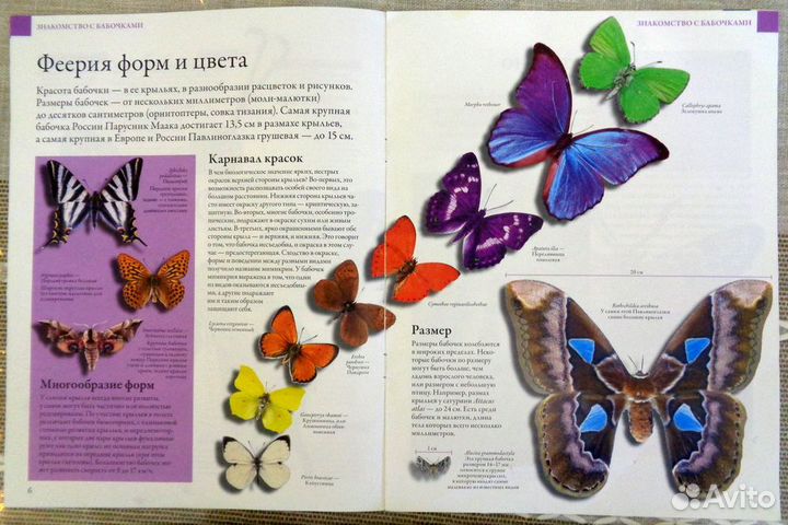 Журналы Деагостини Бабочки (коллекция)