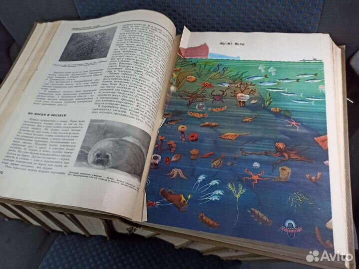 Детская энциклопедия 12 томов