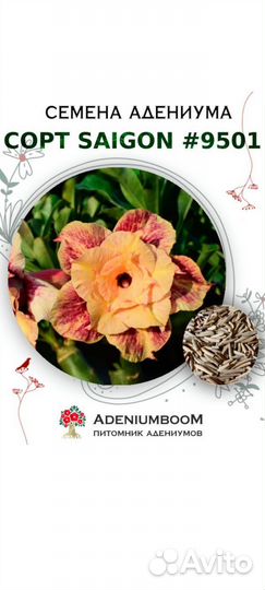 Адениум Saigon 9501