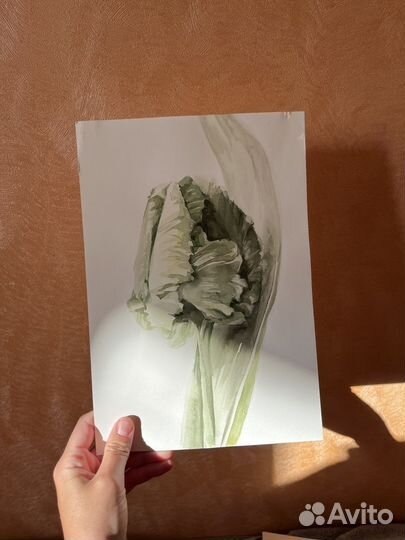 Акварельные рисунки цветы