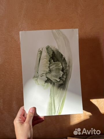 Акварельные рисунки цветы