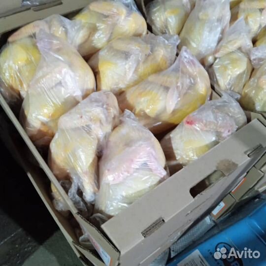 Фермерские куры / оптом / халяль