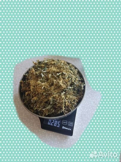 Лабазник, таволга, белоголовник