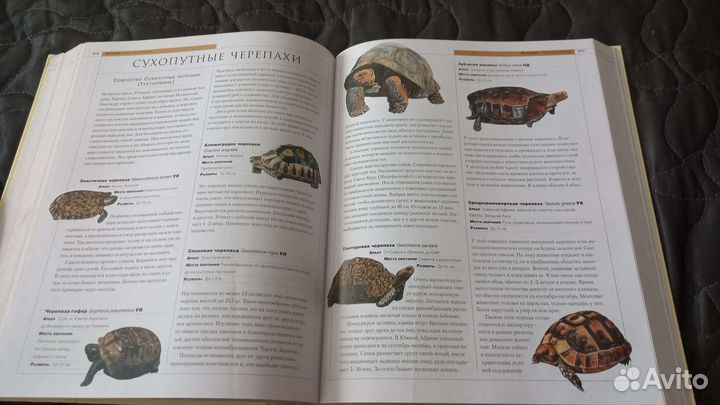 Новейшая энциклопедия животных