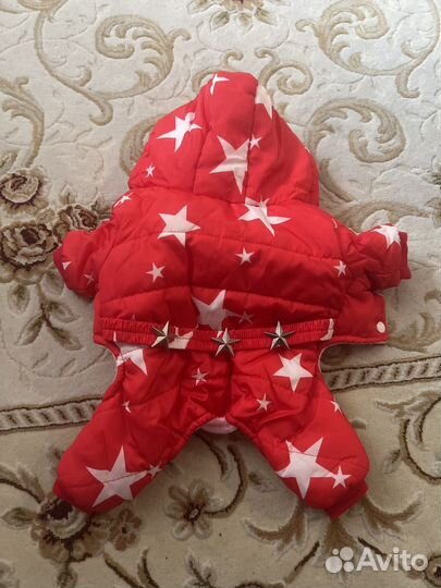 Зимняя куртка новая для маленькой собачки