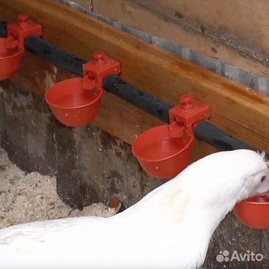 Шланг пвх для поилок Диаметр - 8 мм