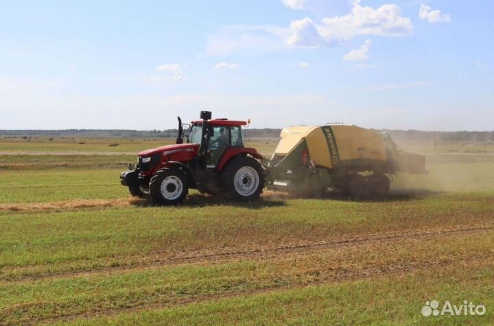 Трактор YTO ELG1754, 2023