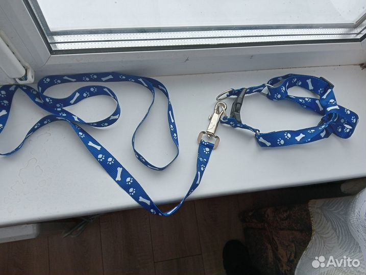 Шлейка для кошки маленькой собачки