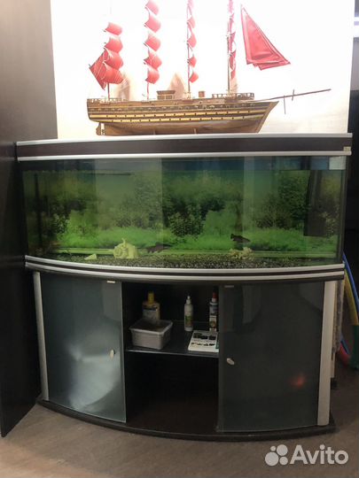 Аквариум 400 л с тумбой и оборудованием б/у