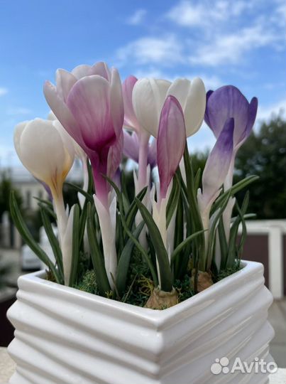 Крокус из глины, подарок, Цветы, ручная работа