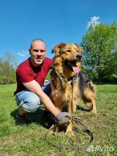 Нереальный красавец в приюте