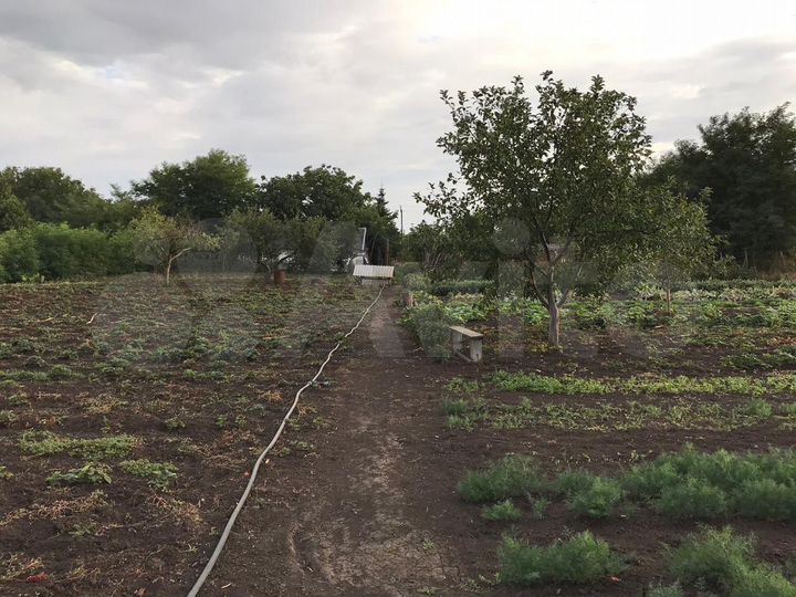 Участок 100 сот. (ИЖС)