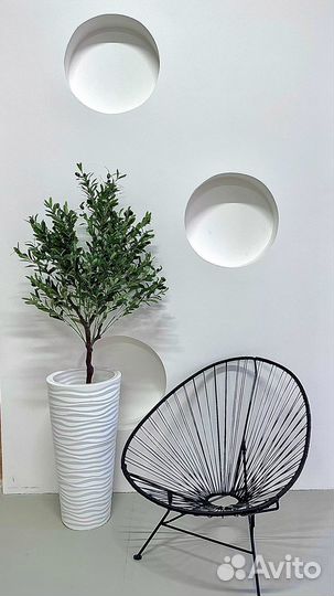 Аренда фотостудии Feel Me - зал White