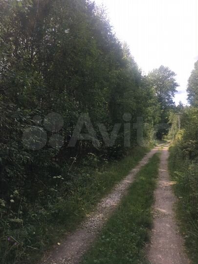 Участок 8 сот. (СНТ, ДНП)