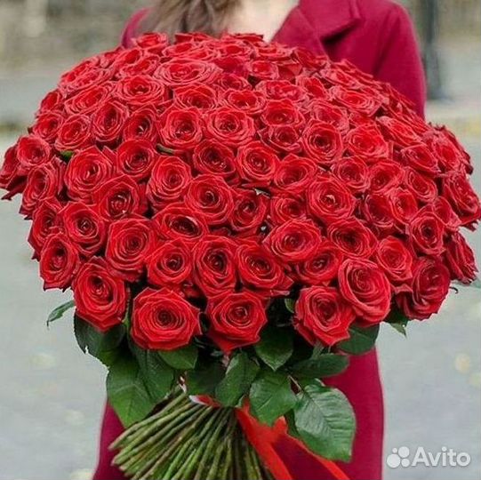 Цветы розы букеты 25 31 35 51 101 251 Доставка