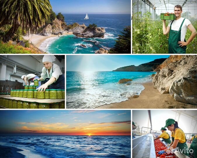 Упаковщики на овощи в Краснодарский край