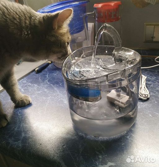 Поилка для животных с датчиком движения