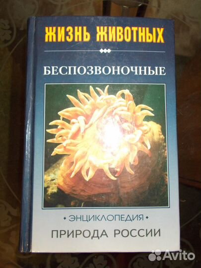 Энциклопедия. Природа России. Жизнь животных