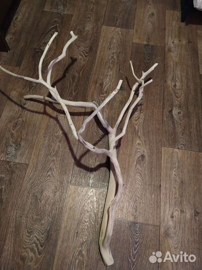 Коряги для террариума