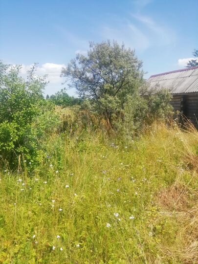 Участок 25 сот. (ИЖС)