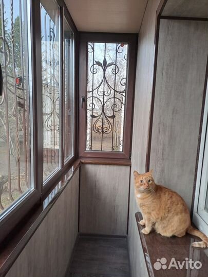 Решетка на окна